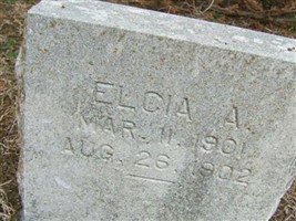 Elcia A Claxton