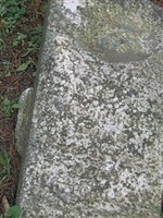 Elcie Manion