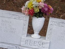 Elda Ruth Reese