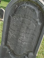 Eleanor J Bosley