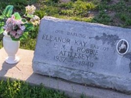 Eleanor Kay Attlesey Eleanor Kay Attlesey