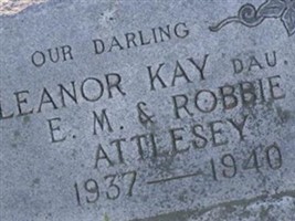 Eleanor Kay Attlesey Eleanor Kay Attlesey
