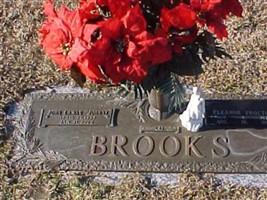 Eleanor Proctor Brooks