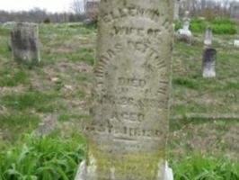 Eleanor Rees Peyton