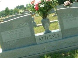 Eleanor Robbie Attlesey