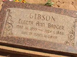 Electa Ann Badger Gibson