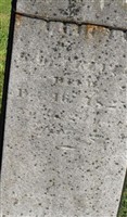 Electa Ann Trevett