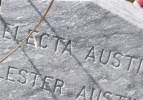 Electa Austin