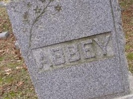 Electa J Abbey
