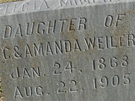 Electa Minerva Weiler