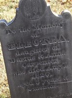 Electra Carpenter