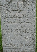 Elena D Grasse