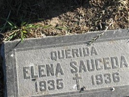 Elena Sauceda