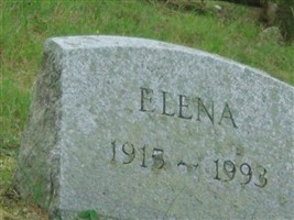 Elena Stocchetti