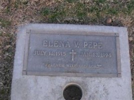 Elena V Pepe