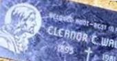 Elenor C. Walsh