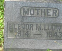 Elenor M Ludwig