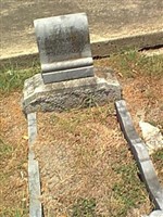 Elenora Reinarz