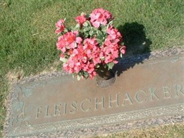Elfriede Siedner Fleischhacker