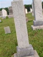Eli Haynes