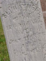 Eli Haynes