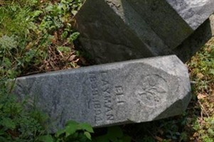 Eli Laymon