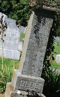 Eli Olds