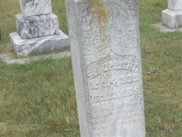 Eli Upright