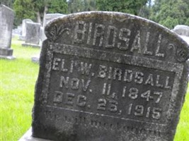 Eli Whitson Birdsall