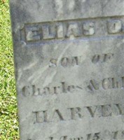 Elias D Harvey