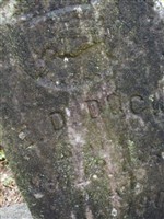 Elias Deaton Duck