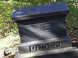 Elias J Unger Elias J Unger