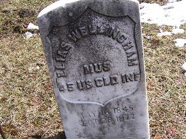 Elias Wellingham Elias Wellingham