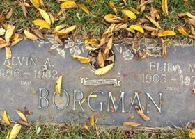 Elida M Borgman