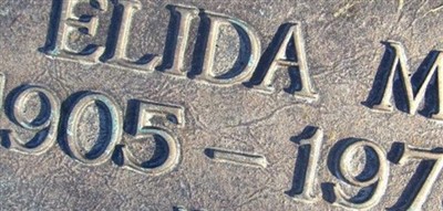 Elida M Borgman