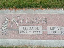 Elida N Wycoff Steele Nelson