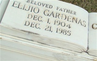 Elijio Gardenas Guzman