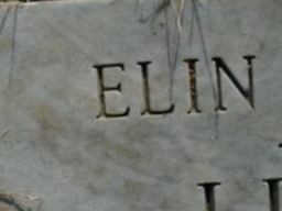 Elin Lievsay Elin Lievsay
