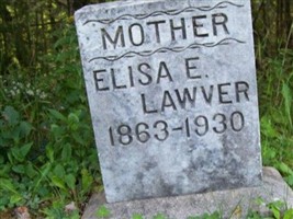 Elisa E Lawver
