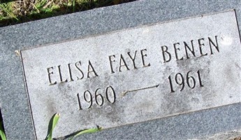 Elisa Faye Benen