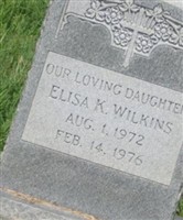 Elisa K Wilkins
