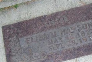 Elisa M. Hanson Elisa M. Hanson