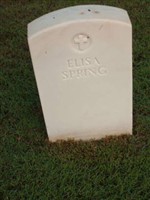 Elisa Spring