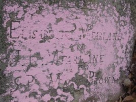 Elisabeth Brown McFarlane