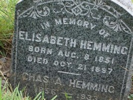 Elisabeth Hemming Elisabeth Hemming