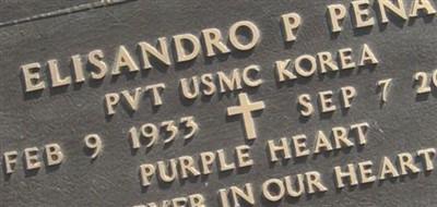 Elisandro P. Pena Elisandro P. Pena