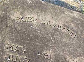 Elise Davidson Elise Davidson