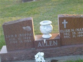 Elise N Allen