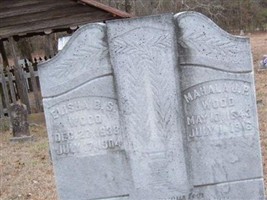 Elisha B. S. Wood Elisha B. S. Wood