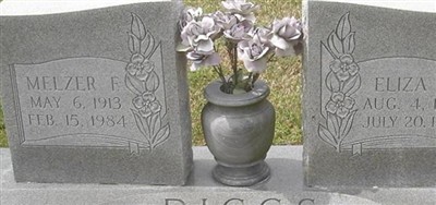 Eliza A. Diggs